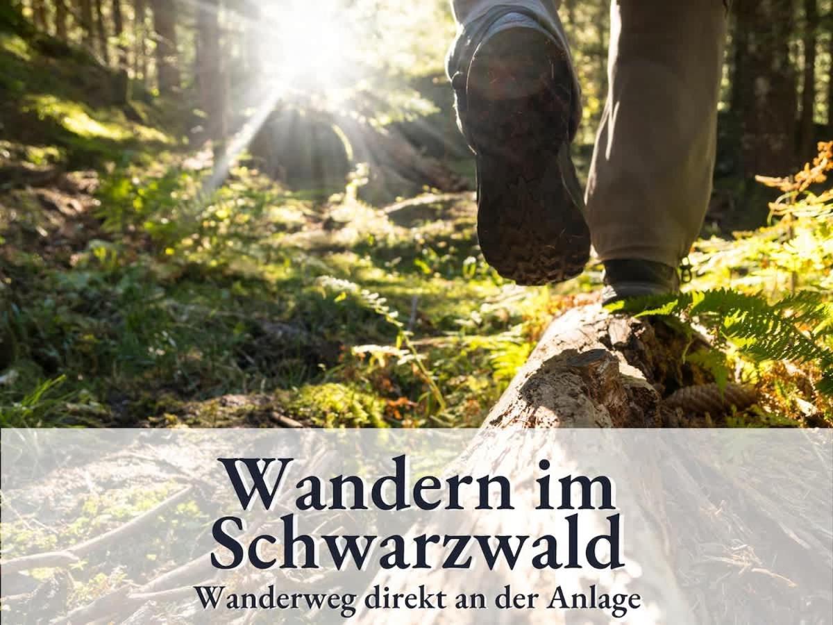 Relax-Apartment 164 Mit Indoor-Pool, Sauna, Kueche Und Netflix Schonach im Schwarzwald Kültér fotó